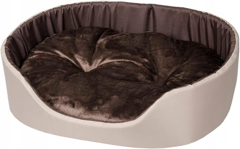 51mCkt1er4L._AC_SL1006_