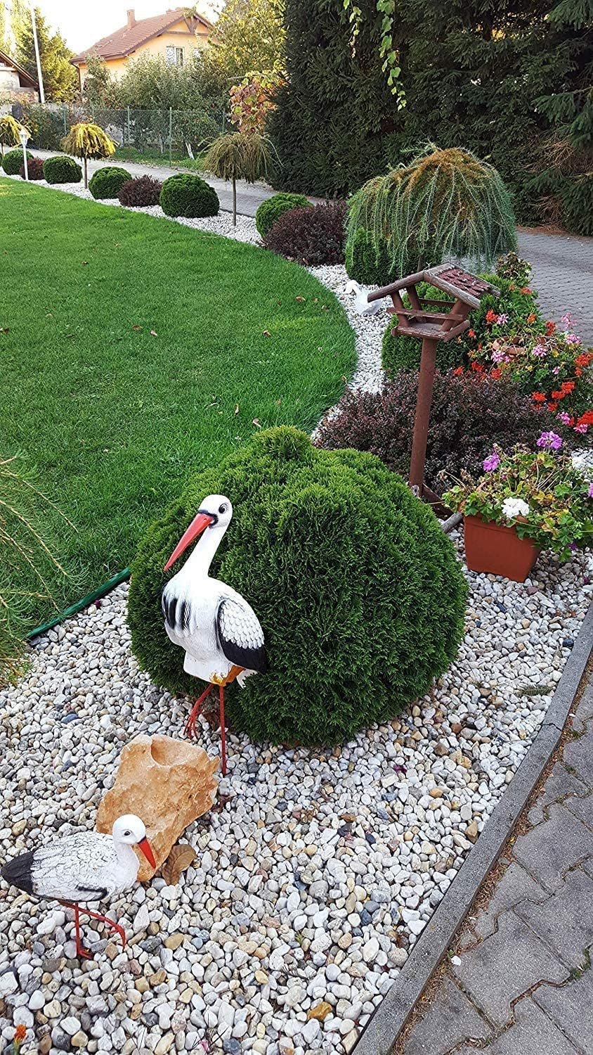 81proXFeL-L._AC_SL1500_